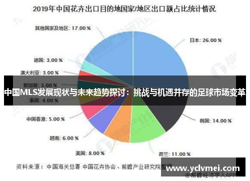 中国MLS发展现状与未来趋势探讨：挑战与机遇并存的足球市场变革